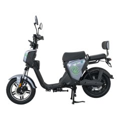 Elektroskútr RACCEWAY® PAŘEZ 25, bez ŘP, šedý