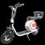 Elektrická koloběžka Eljet Roadster bílá